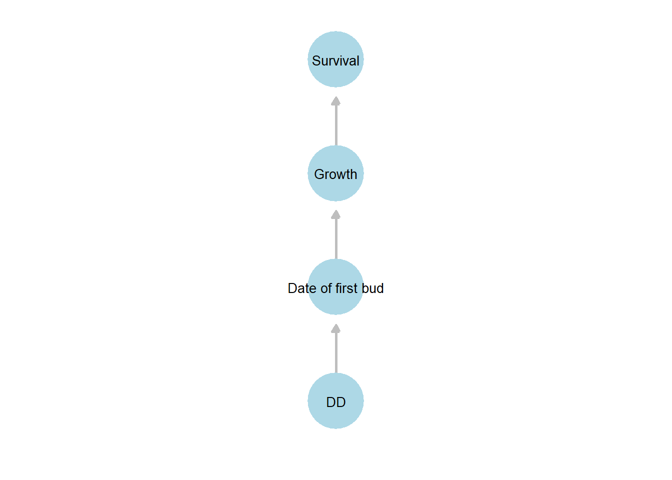 Directed acyclic graph (DAG) illustrating hypothesized  relationships among the key variables in the shipley dataset. Arrows indicate the direction of hypothesized influence: cumulative degree days (`DD`) affects the date of first bud burst (`Date of first bud`), which influences `Growth`, and in turn affects `Survival`.