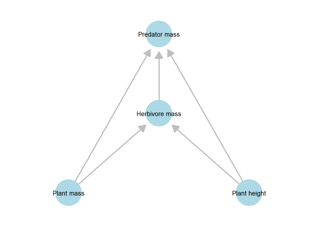 Directed acyclic graph (DAG) representing the hypothesized causal structure among plant, herbivore, and predator variables. Nodes denote measured variables (plant mass, plant height, herbivore mass, and predator mass), and directed edges indicate assumed directional effects. Plant mass and plant height are modeled as exogenous variables influencing herbivore mass, which in turn influences predator mass; plant variables may also have direct effects on higher trophic levels.