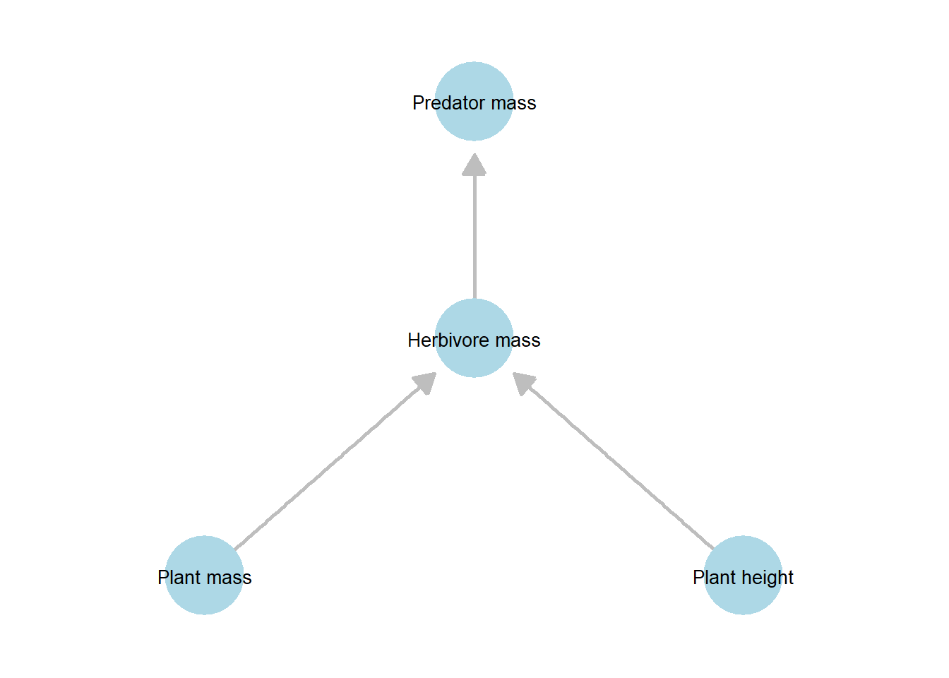 Simplified directed acyclic graph (DAG) representing the hypothesized causal relationships among plant, herbivore, and predator traits used in the focal analysis. Compared to the full DAG, this hypothesis-driven DAG retains only the direct pathways of primary interest, omitting direct links from plant variables to predator mass.