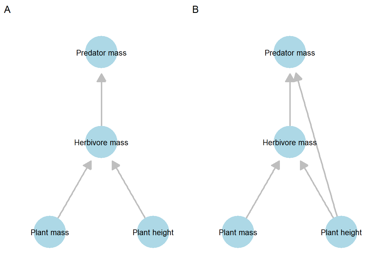 Comparison of two alternative directed acyclic graphs (DAGs) representing competing causal hypotheses among plant, herbivore, and predator variables. Panel A shows the hypothesized DAG, in which predator mass is influenced only indirectly through herbivore mass. Panel B shows an alternative DAG that includes an additional direct pathway from plant height to predator mass, representing a plausible but untested mechanism (e.g., habitat structure or plant-mediated effects).